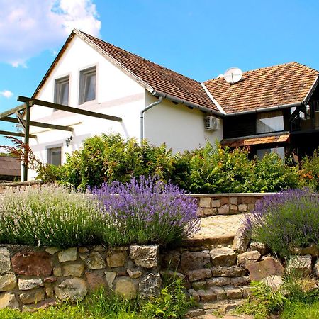 Videki Haz Apartment Tagyon Exterior foto