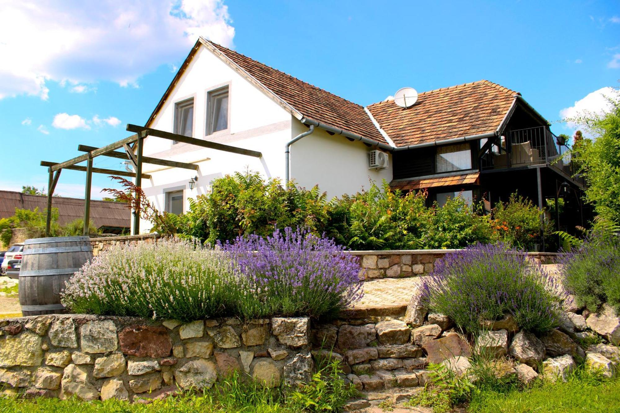 Videki Haz Apartment Tagyon Exterior foto